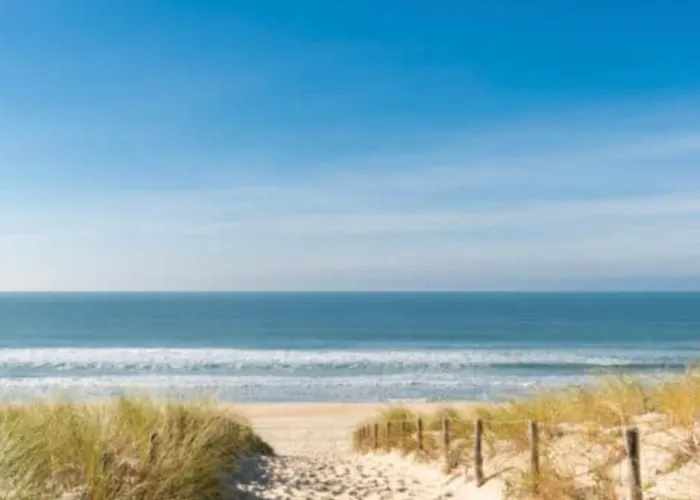 Cap Ferret Ocean - Ref 184 펜션 *